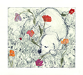 Able in Poppies
